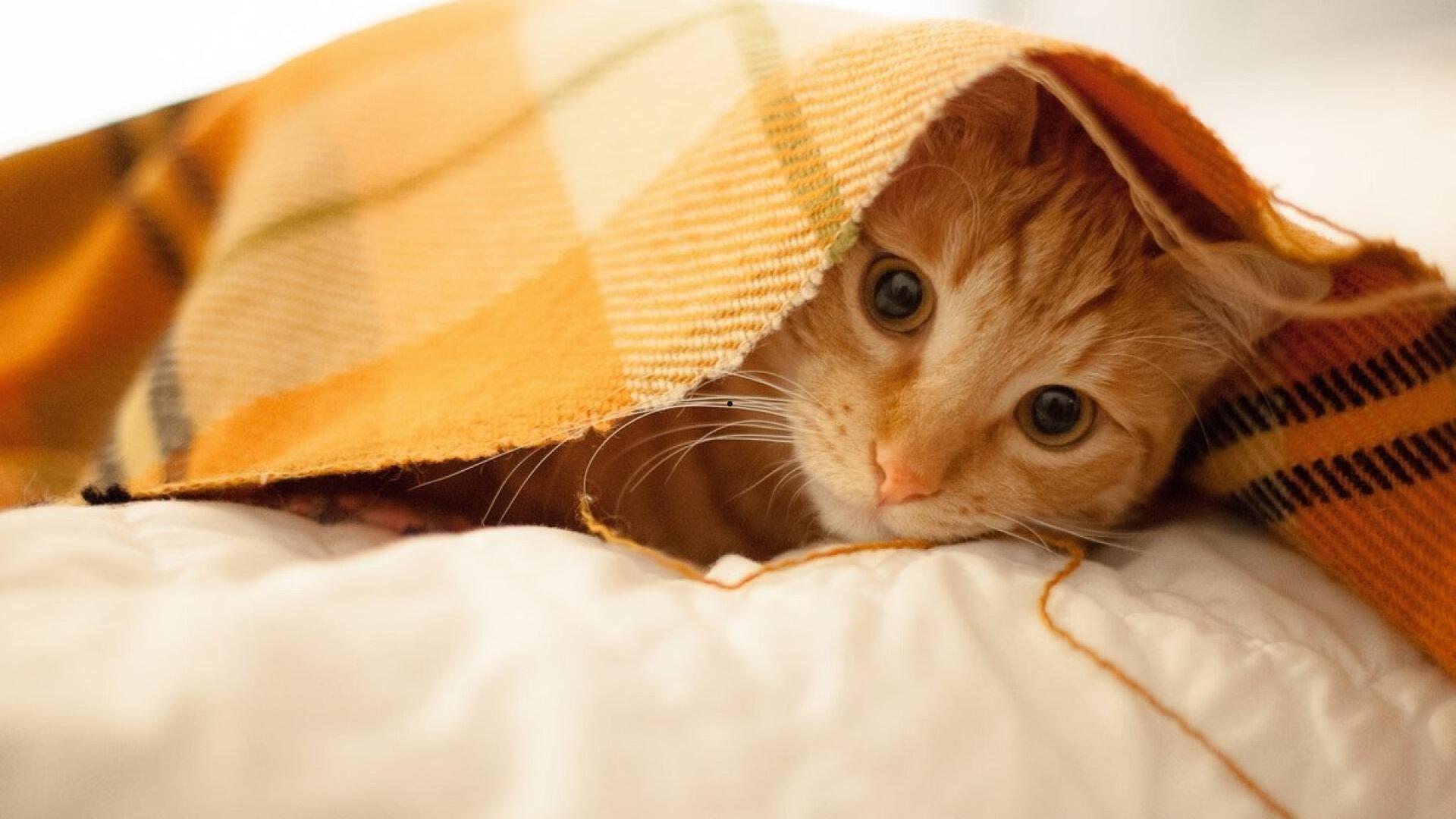 必看！也许是今年最好的国产电影