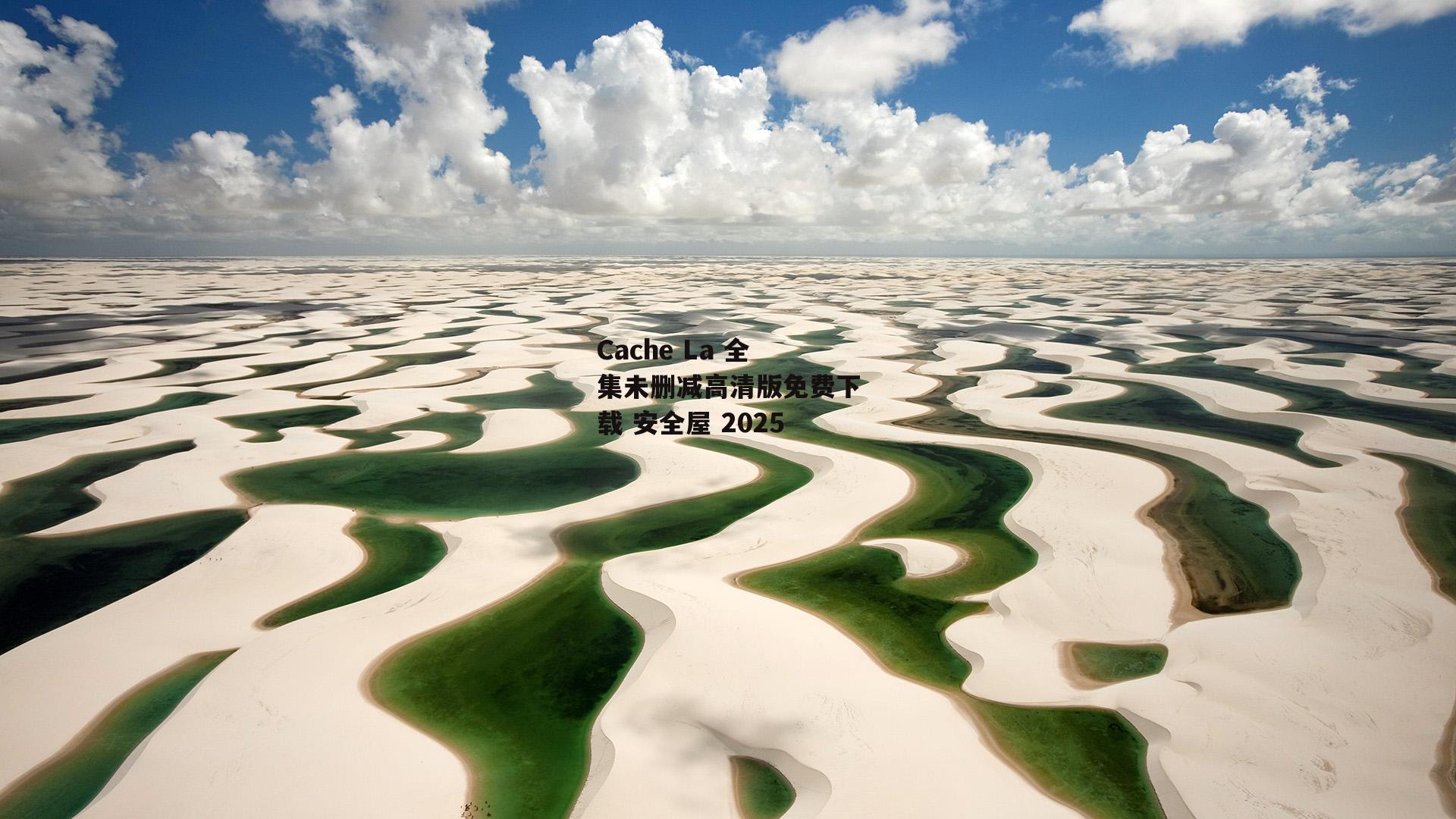 Cache La 全集未删减高清版免费下载 安全屋 2025